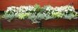 tn_gallery_14_163_2399.jpg