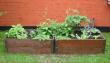 tn_gallery_14_163_44398.jpg