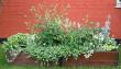 tn_gallery_14_163_7407.jpg