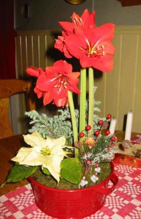 gallery_14_180_58828.jpg