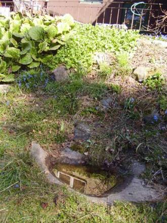 gallery_579_177_36364.jpg