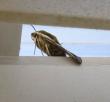 tn_gallery_14_178_1425.jpg