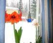 tn_gallery_14_180_14170.jpg