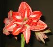 tn_gallery_14_180_30672.jpg