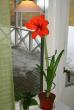 tn_gallery_14_180_59267.jpg