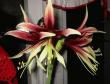 tn_gallery_14_180_6829.jpg