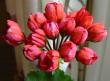 tn_gallery_14_181_25943.jpg