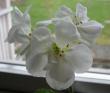 tn_gallery_14_181_4968.jpg