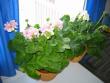tn_gallery_14_181_8255.jpg