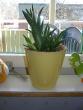 tn_gallery_3710_192_3336.jpg