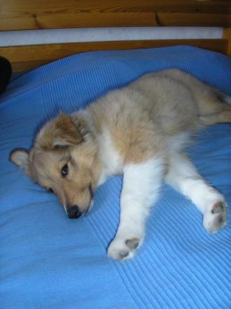 gallery_5006_120_13903.jpg