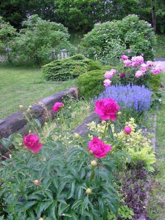 gallery_5006_74_75651.jpg