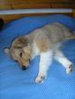 tn_gallery_5006_120_13903.jpg