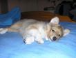 tn_gallery_5006_120_27194.jpg