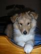 tn_gallery_5006_120_27750.jpg