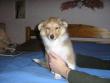 tn_gallery_5006_120_3804.jpg