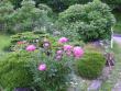 tn_gallery_5006_74_61854.jpg