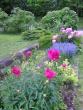 tn_gallery_5006_74_75651.jpg
