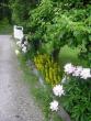 tn_gallery_5006_74_95345.jpg