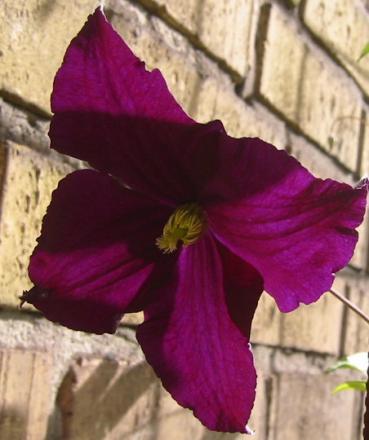 gallery_14_200_15114.jpg