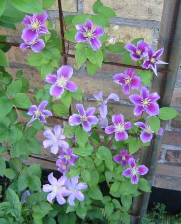 gallery_14_200_27099.jpg