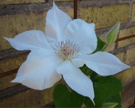 gallery_14_200_29856.jpg