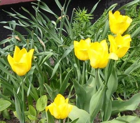 gallery_14_201_20937.jpg