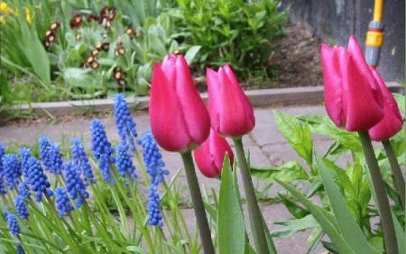 gallery_14_201_24291.jpg