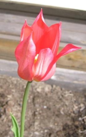 gallery_14_201_24746.jpg