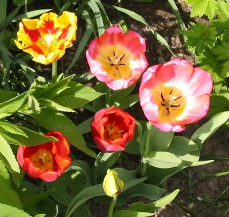 gallery_14_201_4322.jpg