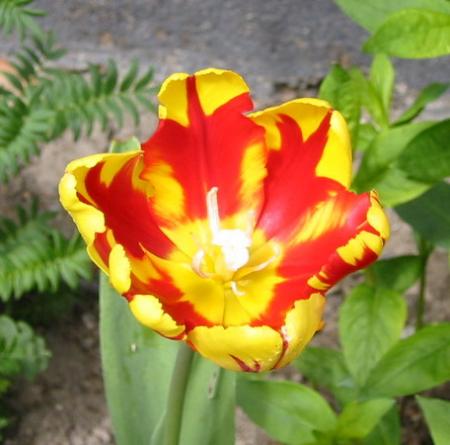 gallery_14_201_9446.jpg
