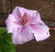 tn_gallery_14_200_26412.jpg