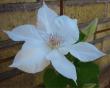 tn_gallery_14_200_29856.jpg