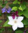 tn_gallery_14_200_44959.jpg
