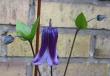 tn_gallery_14_200_528.jpg