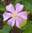 tn_gallery_14_200_52854.jpg