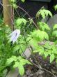 tn_gallery_14_200_59935.jpg