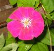 tn_gallery_14_200_7182.jpg
