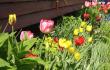 tn_gallery_14_201_16788.jpg