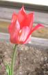 tn_gallery_14_201_24746.jpg