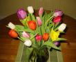 tn_gallery_14_201_2955.jpg