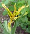 tn_gallery_14_201_29846.jpg