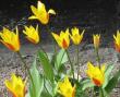 tn_gallery_14_201_39114.jpg