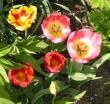 tn_gallery_14_201_4322.jpg
