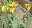 tn_gallery_14_201_53024.jpg