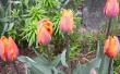 tn_gallery_14_201_54853.jpg