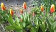tn_gallery_14_201_67991.jpg
