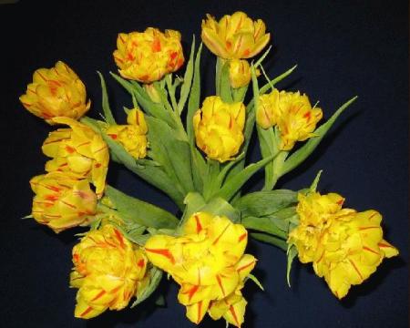 gallery_14_201_13557.jpg