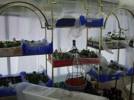 gallery_4382_202_27600.jpg