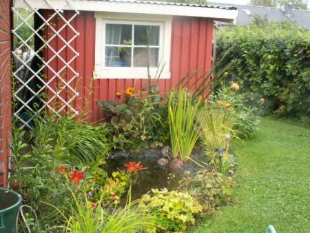 gallery_4382_203_118476.jpg